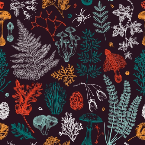 Vector seamless pattern with fern leaf, mushrooms, fall leaves and autumn plant sketches. Monochrome botanical repeating texture. Hand drawn autumn forest background. Vintage nature design for print